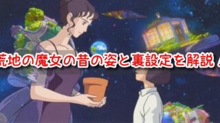 荒地の魔女　昔の姿　ニーニャ　とは　星をかった日　ハウル　裏設定　ハウルの動く城