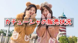 ディズニー　カチューシャ