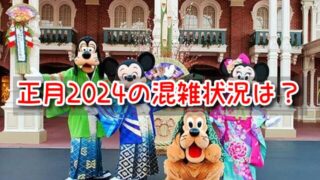 ディズニー　正月