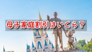 ディズニーランド　母子家庭