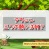 アラジン　三つの願い　洞窟　4つ　願い事　ルール